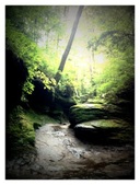 Enlarge photo 30