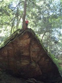 Enlarge photo 42