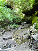 Enlarge photo 39