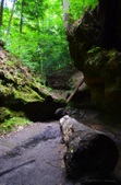 Enlarge photo 43