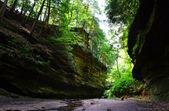 Enlarge photo 52