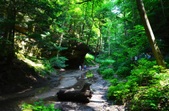 Enlarge photo 44
