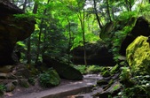 Enlarge photo 45