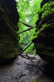 Enlarge photo 46
