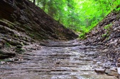 Enlarge photo 48