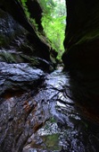 Enlarge photo 50