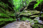 Enlarge photo 54