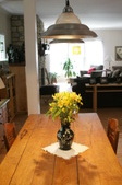 Enlarge photo 56