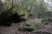 Enlarge photo 22