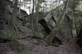 Enlarge photo 23