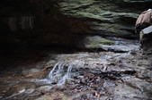 Enlarge photo 30