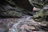 Enlarge photo 33