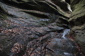 Enlarge photo 35