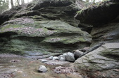 Enlarge photo 39