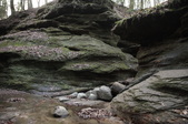 Enlarge photo 40