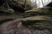Enlarge photo 42