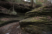 Enlarge photo 43