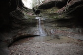 Enlarge photo 45
