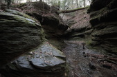 Enlarge photo 48