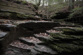 Enlarge photo 50