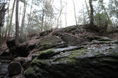 Enlarge photo 51