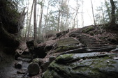 Enlarge photo 52