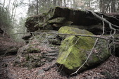 Enlarge photo 55