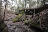 Enlarge photo 56