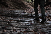 Enlarge photo 58