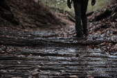 Enlarge photo 59