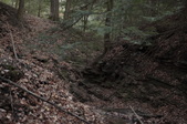 Enlarge photo 60