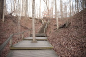 Enlarge photo 61