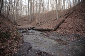 Enlarge photo 62