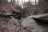 Enlarge photo 64