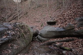 Enlarge photo 65