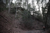 Enlarge photo 66