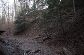Enlarge photo 67