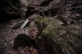 Enlarge photo 74