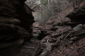 Enlarge photo 75