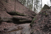 Enlarge photo 77