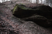 Enlarge photo 78