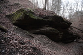 Enlarge photo 79