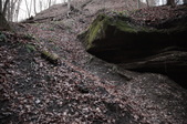 Enlarge photo 80