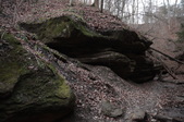 Enlarge photo 81