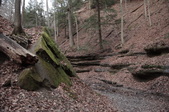 Enlarge photo 82