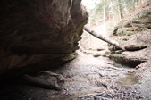 Enlarge photo 83