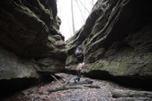 Enlarge photo 85