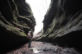 Enlarge photo 86