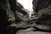 Enlarge photo 88