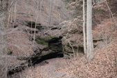 Enlarge photo 90